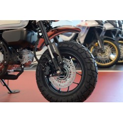 OXX Honda Monkey 125 Z125MA Ventas Oferta 2024