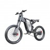 Bicicleta EZ-X21